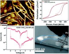Graphical abstract: Ferroelectric-mediated filamentary resistive switching in P(VDF-TrFE)/ZnO nanocomposite films