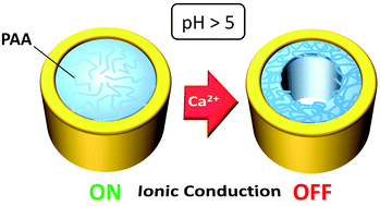 Graphical abstract: Highly sensitive gating in pH-responsive nanochannels as a result of ionic bridging and nanoconfinement