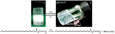 Graphical abstract: The mechanism difference between CO2 and pH stimuli for a dual responsive wormlike micellar system