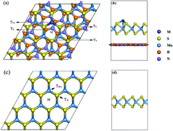 Graphical abstract: Transition metal atoms absorbed on MoS2/h-BN heterostructure: stable geometries, band structures and magnetic properties