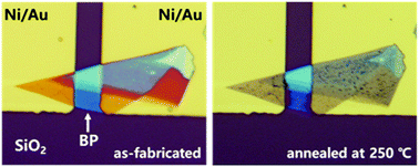 Graphical abstract: Enhancing ambipolar carrier transport of black phosphorus field-effect transistors with Ni–P alloy contacts