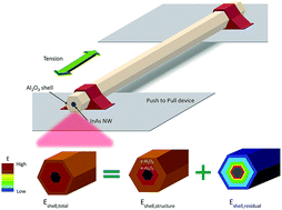 Graphical abstract: Abnormal elastic modulus behavior in a crystalline–amorphous core–shell nanowire system