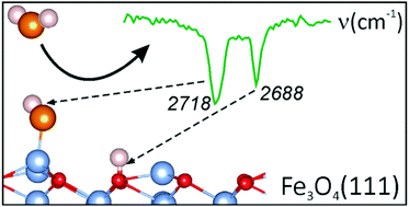 Graphical abstract: Water adsorption on the Fe3O4(111) surface: dissociation and network formation