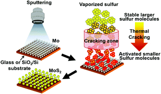 Graphical abstract: Enhanced sulfurization reaction of molybdenum using a thermal cracker for forming two-dimensional MoS2 layers