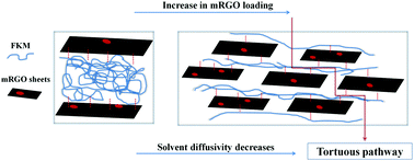 Graphical abstract: Effect of reduced graphene oxide on the solvent transport characteristics and sorption kinetics of fluoroelastomer nanocomposites