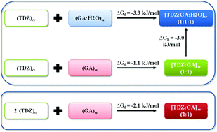 Graphical abstract: Cocrystals of a 1,2,4-thiadiazole-based potent neuroprotector with gallic acid: solubility, thermodynamic stability relationships and formation pathways