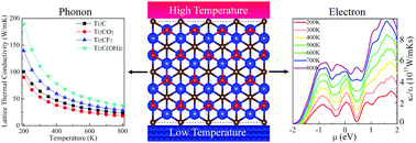 Graphical abstract: Coincident modulation of lattice and electron thermal transport performance in MXenes via surface functionalization