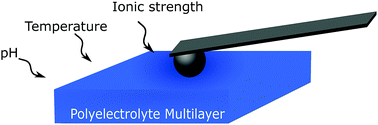 Graphical abstract: Effect of environmental parameters on the nano mechanical properties of hyaluronic acid/poly(l-lysine) multilayers