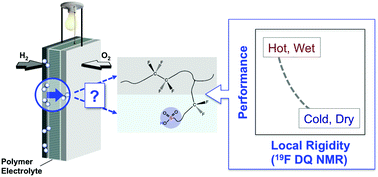 Graphical abstract: A magnetic resonance and electrochemical study of the role of polymer mobility in supporting hydrogen transport in perfluorosulfonic acid membranes