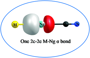 Graphical abstract: Cyanide–isocyanide isomerization: stability and bonding in noble gas inserted metal cyanides (metal = Cu, Ag, Au)