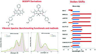 Graphical abstract: On the simulation of vibrationally resolved electronic spectra of medium-size molecules: the case of styryl substituted BODIPYs