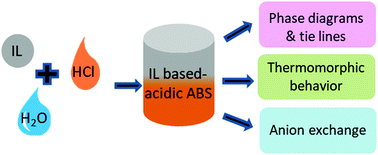 Graphical abstract: Understanding the fundamentals of acid-induced ionic liquid-based aqueous biphasic system