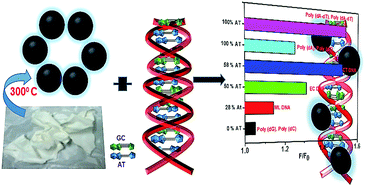 Graphical abstract: Egg-shell derived carbon dots for base pair selective DNA binding and recognition