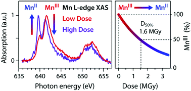 Graphical abstract: X-ray-induced sample damage at the Mn L-edge: a case study for soft X-ray spectroscopy of transition metal complexes in solution