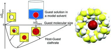Graphical abstract: Size exclusion effect in binary inclusion compounds of α-cyclodextrin