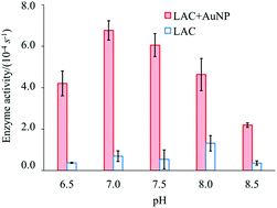 Graphical abstract: Measurement of adsorption constants of laccase on gold nanoparticles to evaluate the enhancement in enzyme activity of adsorbed laccase