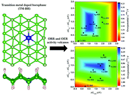 Graphical abstract: Computational exploration of borophane-supported single transition metal atoms as potential oxygen reduction and evolution electrocatalysts
