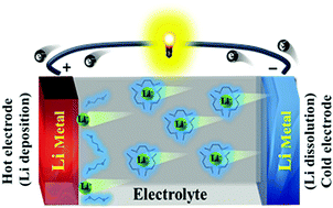 Graphical abstract: Thermoelectrochemical cells based on Li+/Li redox couples in LiFSI glyme electrolytes