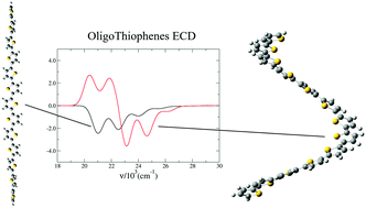 Graphical abstract: A computational study of the vibrationally-resolved electronic circular dichroism spectra of single-chain transoid and cisoid oligothiophenes in chiral conformations