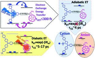 Graphical abstract: Excitation-dependent electron exchange energy and electron transfer dynamics in a series of covalently tethered N,N-bis(4′-tert-butylbiphenyl-4-yl)aniline – [C60] fullerene dyads via varying π-conjugated spacers