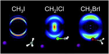 Graphical abstract: Halogen-atom effect on the ultrafast photodissociation dynamics of the dihalomethanes CH2ICl and CH2BrI