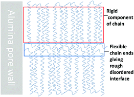 Graphical abstract: Confinement-driven radical change in a sequence of rotator phases: a study on n-octacosane