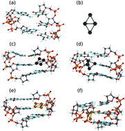 Graphical abstract: Optical absorption in complexes of abasic DNA with noble-metal nanoclusters by first principles calculations