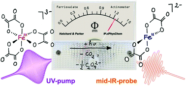 Graphical abstract: Femtosecond infrared spectroscopy reveals the primary events of the ferrioxalate actinometer