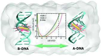 Graphical abstract: Conformational changes of DNA induced by a trans-azobenzene derivative via non-covalent interactions