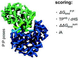 Graphical abstract: Properties that rank protein:protein docking poses with high accuracy