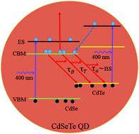 Graphical abstract: Ultrafast spectroscopic studies of composition-dependent near-infrared-emitting alloyed CdSeTe quantum dots