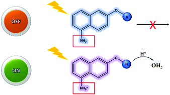 Graphical abstract: pH switch for OH-photoacidity in 5-amino-2-naphthol and 8-amino-2-naphthol