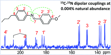 Graphical abstract: Experimental strategies for 13C–15N dipolar NMR spectroscopy in liquid crystals at the natural isotopic abundance