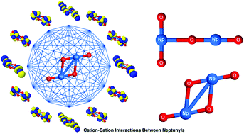 Graphical abstract: Elucidating cation–cation interactions in neptunyl dications using multi-reference ab initio theory