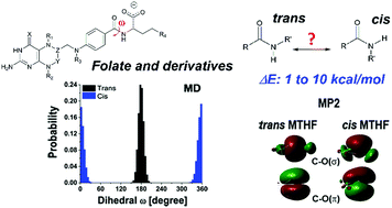 Graphical abstract: Identification and computational characterization of isomers with cis and trans amide bonds in folate and its analogues
