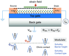Graphical abstract: Tunable interlayer coupling and Schottky barrier in graphene and Janus MoSSe heterostructures by applying an external field