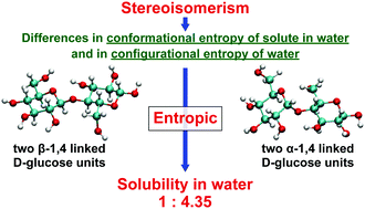 Graphical abstract: Statistical thermodynamics for the unexpectedly large difference between disaccharide stereoisomers in terms of solubility in water