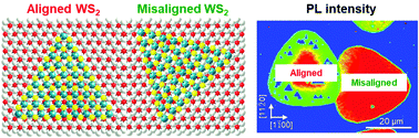 Graphical abstract: van der Waals interaction-induced photoluminescence weakening and multilayer growth in epitaxially aligned WS2