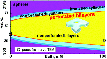 Graphical abstract: Molecular thermodynamic modeling of a bilayer perforation in mixed catanionic surfactant systems