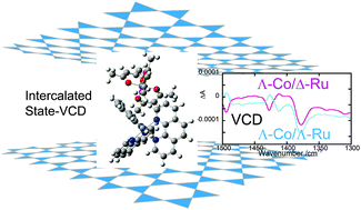 Graphical abstract: Stereoselective interactions as manifested by vibrational circular dichroism spectra: the interplay between chiral metal complexes co-adsorbed in a montmorillonite clay