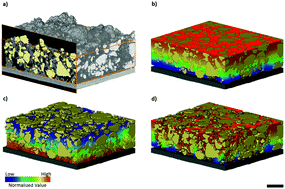 Graphical abstract: Three-dimensional image based modelling of transport parameters in lithium–sulfur batteries