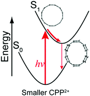 Graphical abstract: Significant structural relaxations of excited [n]cycloparaphenylene dications (n = 5–9)
