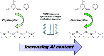 Graphical abstract: Base adsorption mechanism over zeolite catalysts at different Al contents probed by the tapered element oscillating microbalance (TEOM)