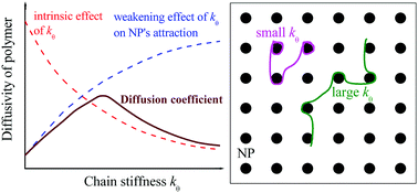 Graphical abstract: Monte Carlo simulation on the dynamics of a semi-flexible polymer in the presence of nanoparticles