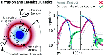 Graphical abstract: Optical transient absorption experiments reveal the failure of formal kinetics in diffusion assisted electron transfer reactions