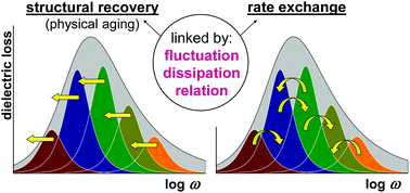 Graphical abstract: Rate exchange rather than relaxation controls structural recovery