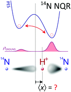 Graphical abstract: 14N NQR spectroscopy reveals the proton position in N–H⋯N bonds: a case study with proton sponges