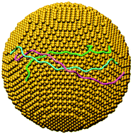Graphical abstract: Interaction of gold nanosurfaces/nanoparticles with collagen-like peptides