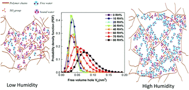 Graphical abstract: Crosslinked PVA/SSA proton exchange membranes: correlation between physiochemical properties and free volume determined by positron annihilation spectroscopy