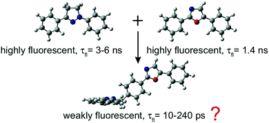 Graphical abstract: Excited-state dynamics of a molecular dyad with two orthogonally-oriented fluorophores